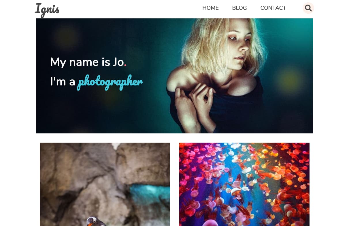 Screenshot of Photography project